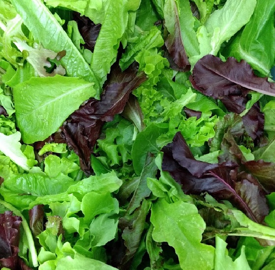 lettuce mix base